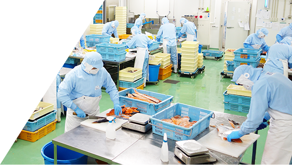 A production line that combines the handwork of skilled workers with advanced technology